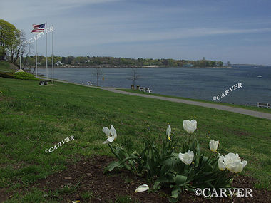 Independence Views
From Independence Park in Beverly, MA looking across the harbor.
Keywords: Independence; Beverly; flower; public garden; garden; photograph; picture; print