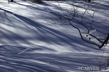 Shadows I
Keywords: shadow snow