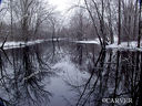 Filename=P3096655.jpg
Filesize=192KiB
Dimensions=564x423
Date added=Mar 13, 2008 P3096655.jpg