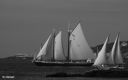 Filename=A_Fine_Day_for_a_Sail.jpg
Filesize=73KiB
Dimensions=800x500
Date added=Jan 17, 2022 A_Fine_Day_for_a_Sail.jpg