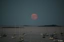 Filename=Rise_of_the_Blue_Moon_2800.JPG
Filesize=311KiB
Dimensions=999x666
Date added=Jan 31, 2023 Rise_of_the_Blue_Moon_2800.JPG